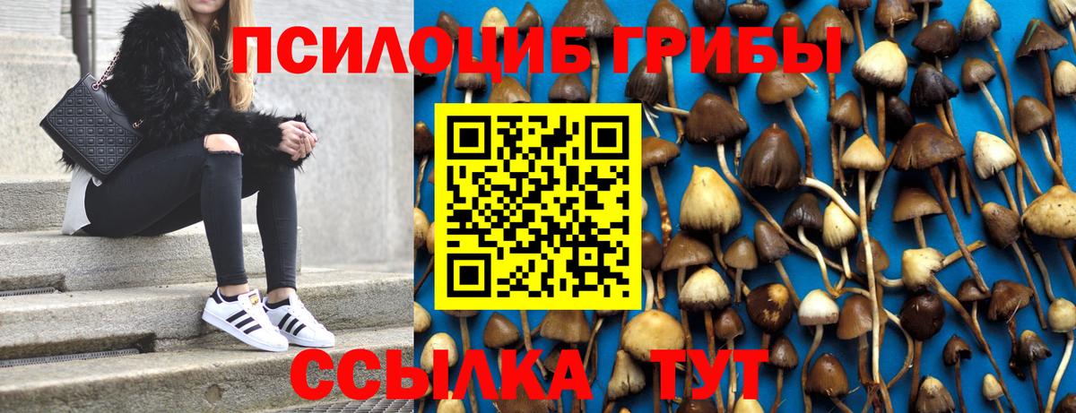 Галлюциногенные грибы мухоморы Котлас