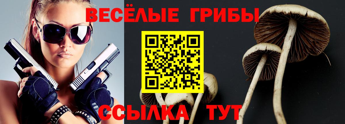 Псилоцибиновые грибы Psilocybine cubensis  Вход с VPN  Котлас 